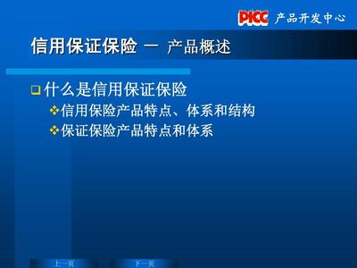 第六章信用保证保险--人保财产险