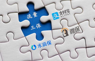 流量型互联网保险公司崛起 三保 领跑