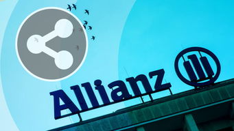 保险牵手租赁 构筑风险防线，开拓市场新蓝海