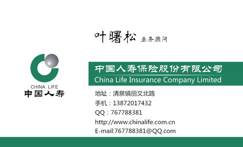 人寿保险 安全基石与市场接受度的双重解析